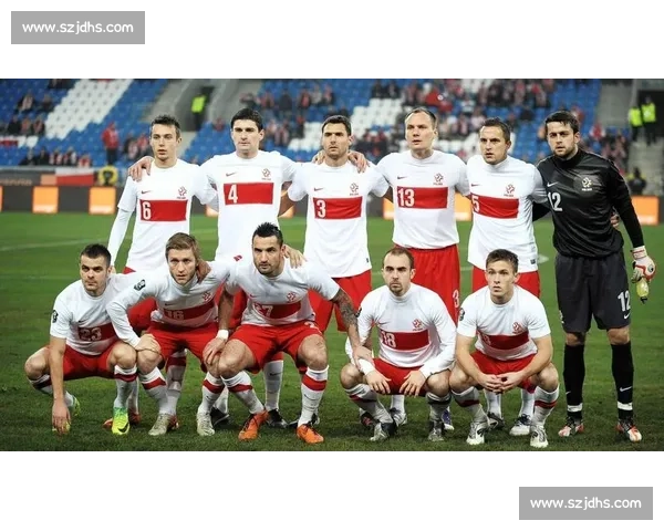 欧洲杯焦点之战波兰对阵希腊的历史恩怨与赛场看点全面解析前瞻