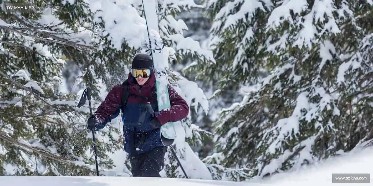 行业领先的理由